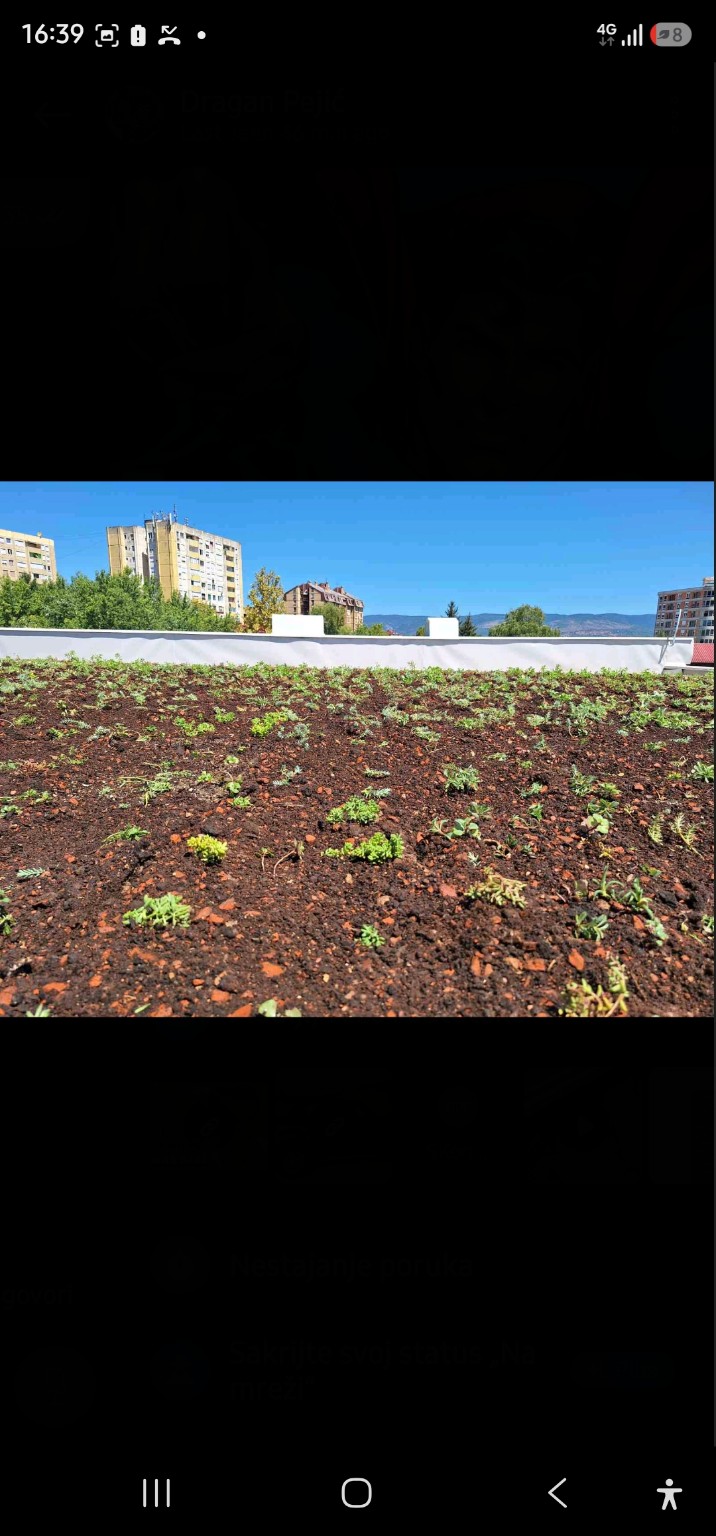 Detalj vegetacije i supstrata